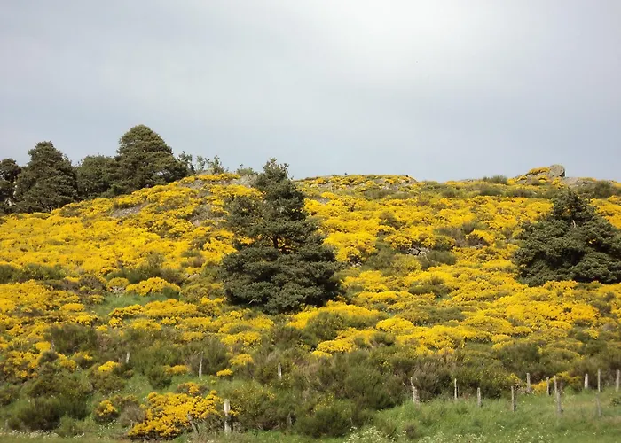 Holiday home Maison Ancienne Au Calme Avec Cheminee Et Equipements Bebe, Proche De - Fr-1-582-127 *